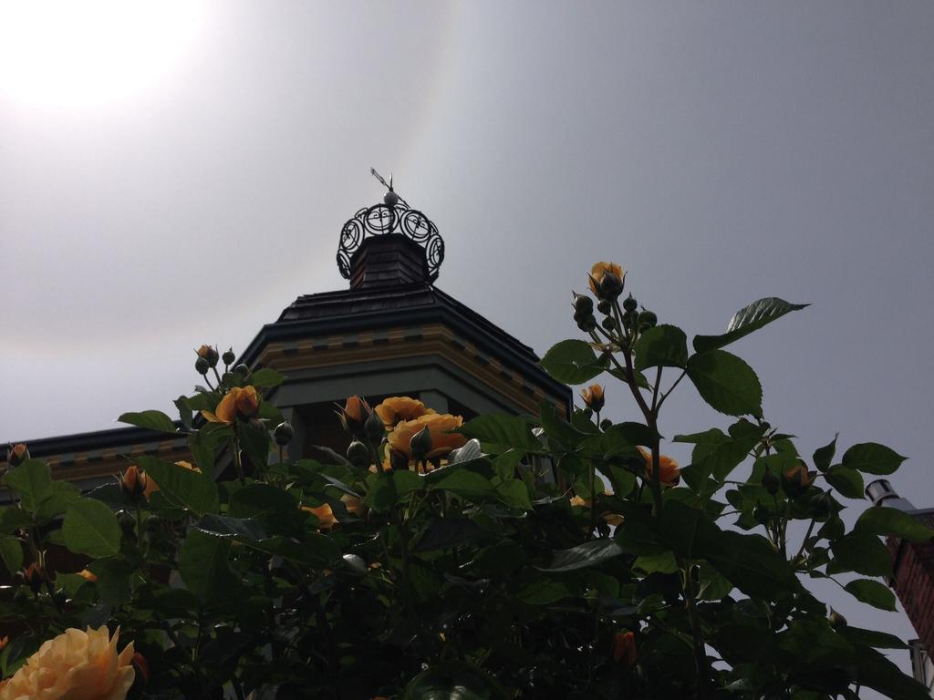 Waverly Cottage เมดฟอร์ด ภายนอก รูปภาพ