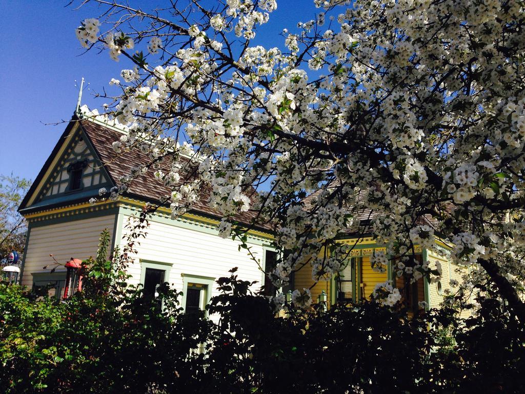 Waverly Cottage เมดฟอร์ด ภายนอก รูปภาพ